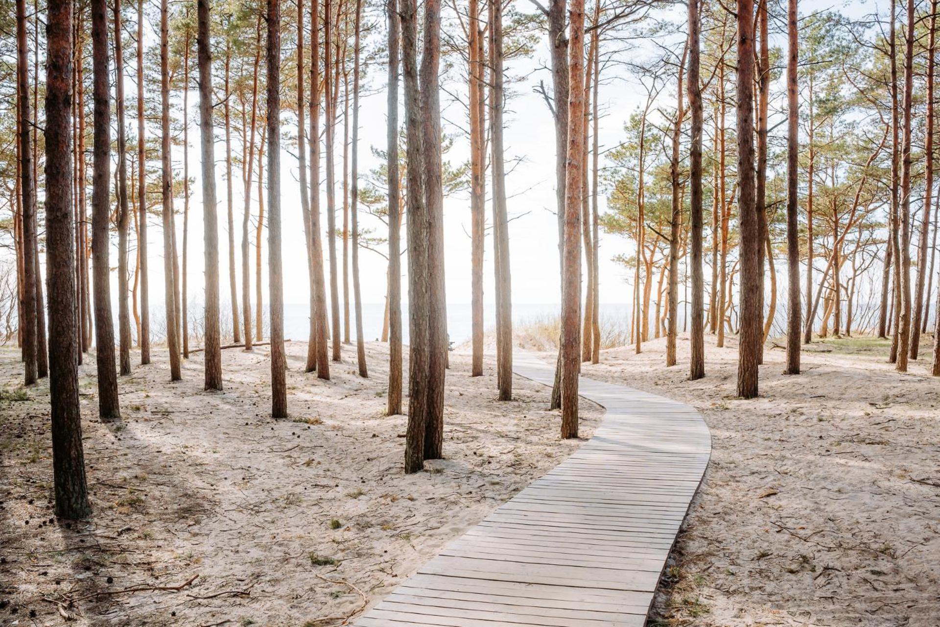 Hill Palanga & Spa Kültér fotó